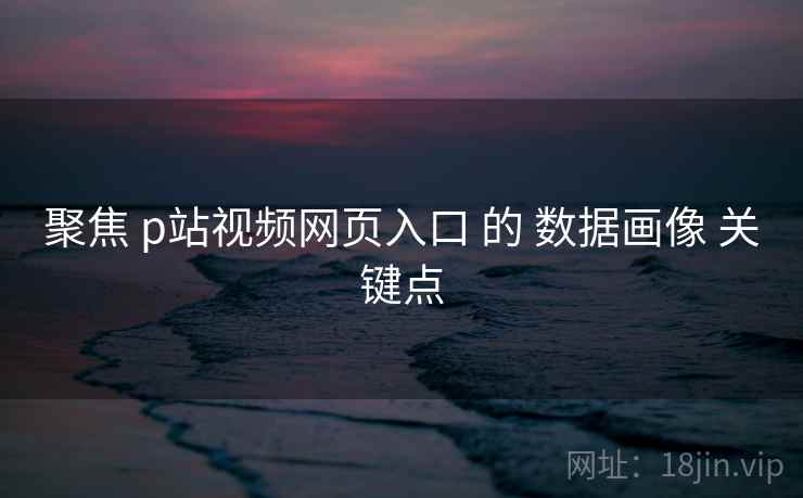 聚焦 p站视频网页入口 的 数据画像 关键点 聚焦 p站视频网页入口 的 数据画像 关键点
