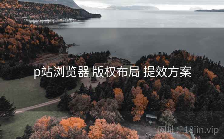 p站浏览器 版权布局 提效方案