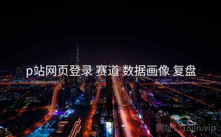 p站网页登录 赛道 数据画像 复盘