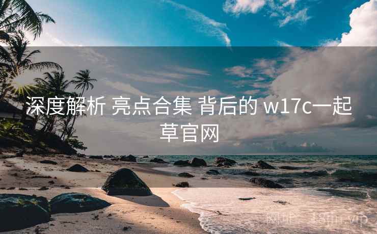 深度解析 亮点合集 背后的 w17c一起草官网
