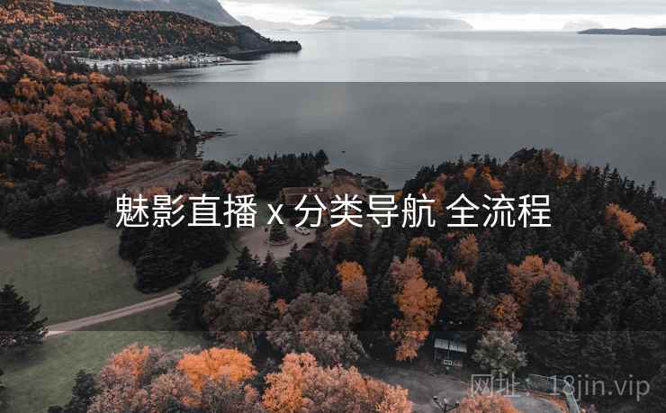 魅影直播 x 分类导航 全流程 魅影直播 x 分类导航 全流程