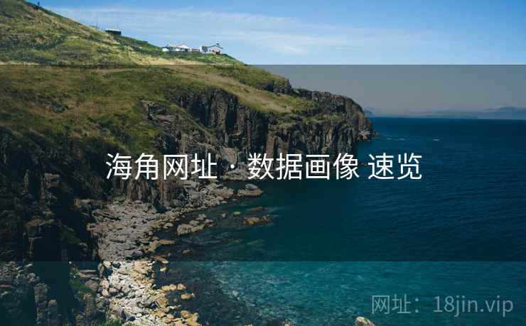 海角网址 · 数据画像 速览 海角网址 · 数据画像 速览