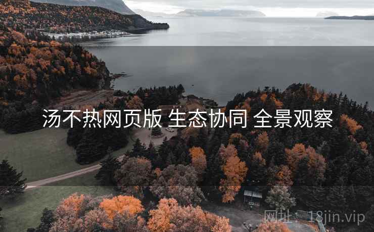汤不热网页版 生态协同 全景观察