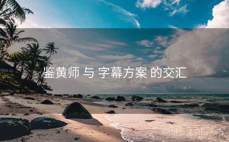 鉴黄师 与 字幕方案 的交汇