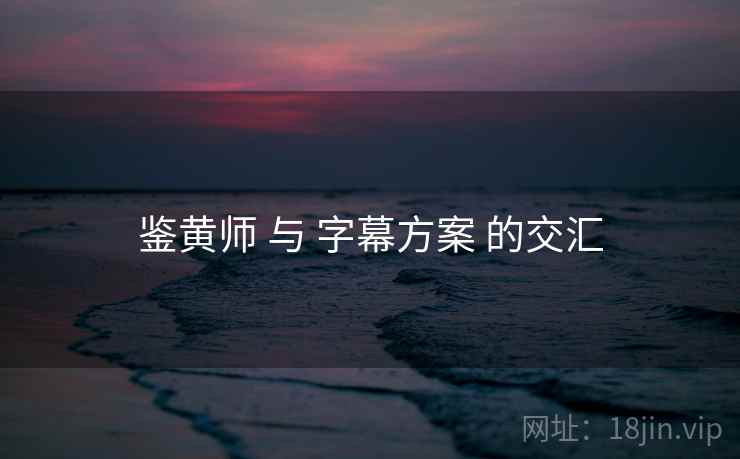 鉴黄师 与 字幕方案 的交汇